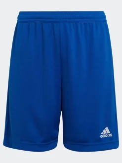adidas Bleu - Entrada 22 Short Online
