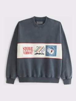 Abercrombie & Fitch Bleu - Sweat-shirt Graphique Ski Popover Sale