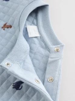 Next Bleu imprimé dinosaure - Ensemble sweat matelassé et survêtement Bébé (0mois à2ans) Best