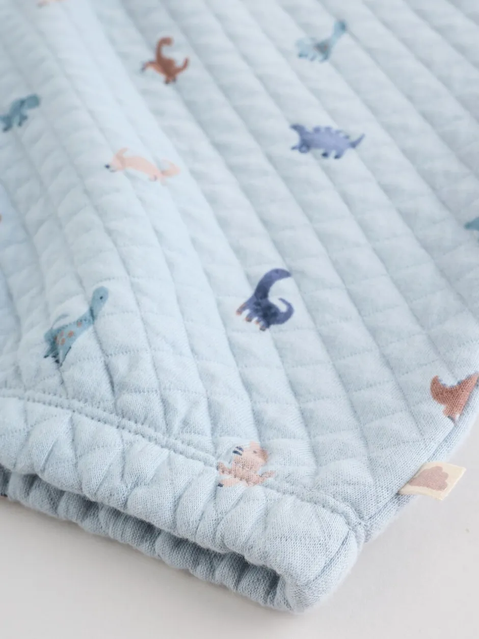 Next Bleu imprimé dinosaure - Ensemble sweat matelassé et survêtement Bébé (0mois à2ans) Best