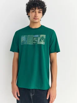 Next - Ajustement régulier - T-shirt Graphic Imprimé 3 Pack Bleu/Vert/Rose Online