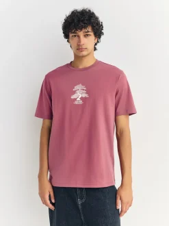 Next - Ajustement régulier - T-shirt Graphic Imprimé 3 Pack Bleu/Vert/Rose Online