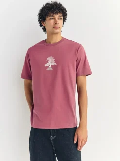 Next - Ajustement régulier - T-shirt Graphic Imprimé 3 Pack Bleu/Vert/Rose Online