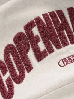 Next - Sweat à capuche (3-16 ans) Gris avec noms de villes New