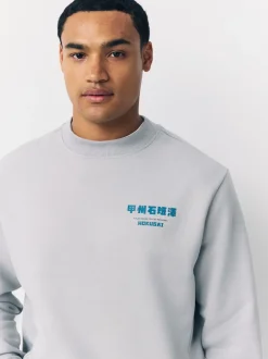 Next Gris glace - Sweat-shirt avec col ras du cou - Licence graphique Hokusai Hot