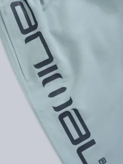 Animal Lumière bleue - Boardshort Deep Dive à séchage rapide pour homme Hot