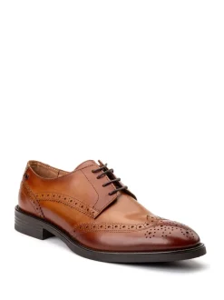 Base London Marron fauve - Chaussures Pocket Brogue Best