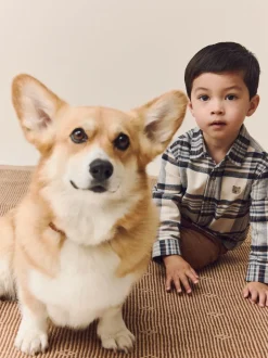 Next Marron fauve - Pantalon en velours côtelé (3mths-7yrs) Sale