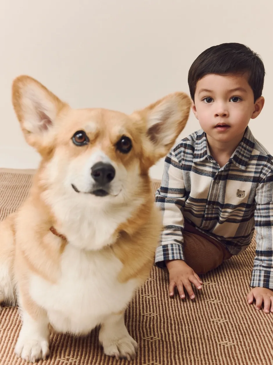 Next Marron fauve - Pantalon en velours côtelé (3mths-7yrs) Sale