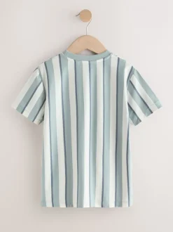 Next - T-shirt imprimé graphique à manches courtes coupe régulière (3-16ans) Minéral rayé Sale