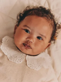 Next Neutre canard/Vert sauge Ditsy - Pull et Leggings en maille Bébé Ensemble 2 Pièces (0mois-3ans) Online