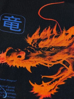 Next - T-shirt imprimé régulier à manches courtes (3-16ans) Noir/Orange Dragon New