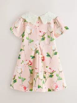 Baker by Ted Baker Rose - Robe Ponte à col en dentelle Online