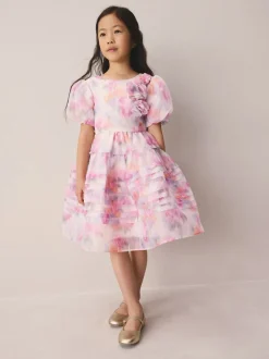 Laura Ashley Roses de jardin roses flous - Robe Corsage en organza à plis nervurés Online