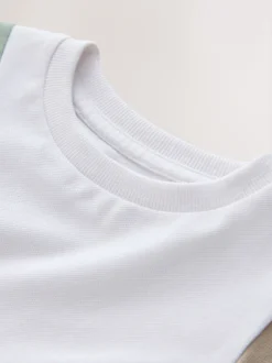 Next Sauge vert/neutre/blanc - T-shirt color block à manches courtes (3mois-7ans) (3mois-7ans) Hot