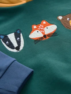 Next - Sweat à capuche imprimé à manches longues (3mois-7ans) Vert color block Online